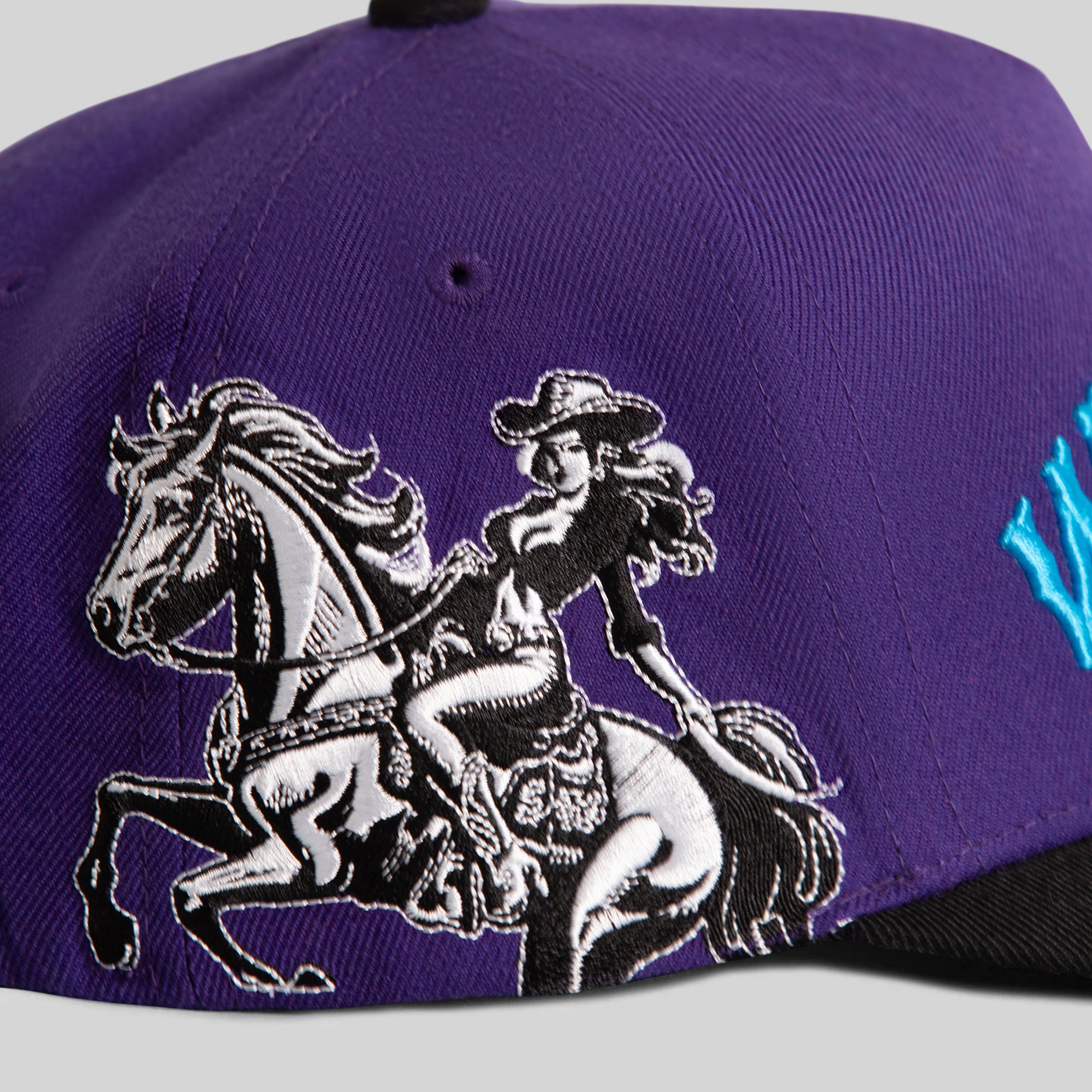 WILD RIDE PURPLE BLACK TRUCKER
