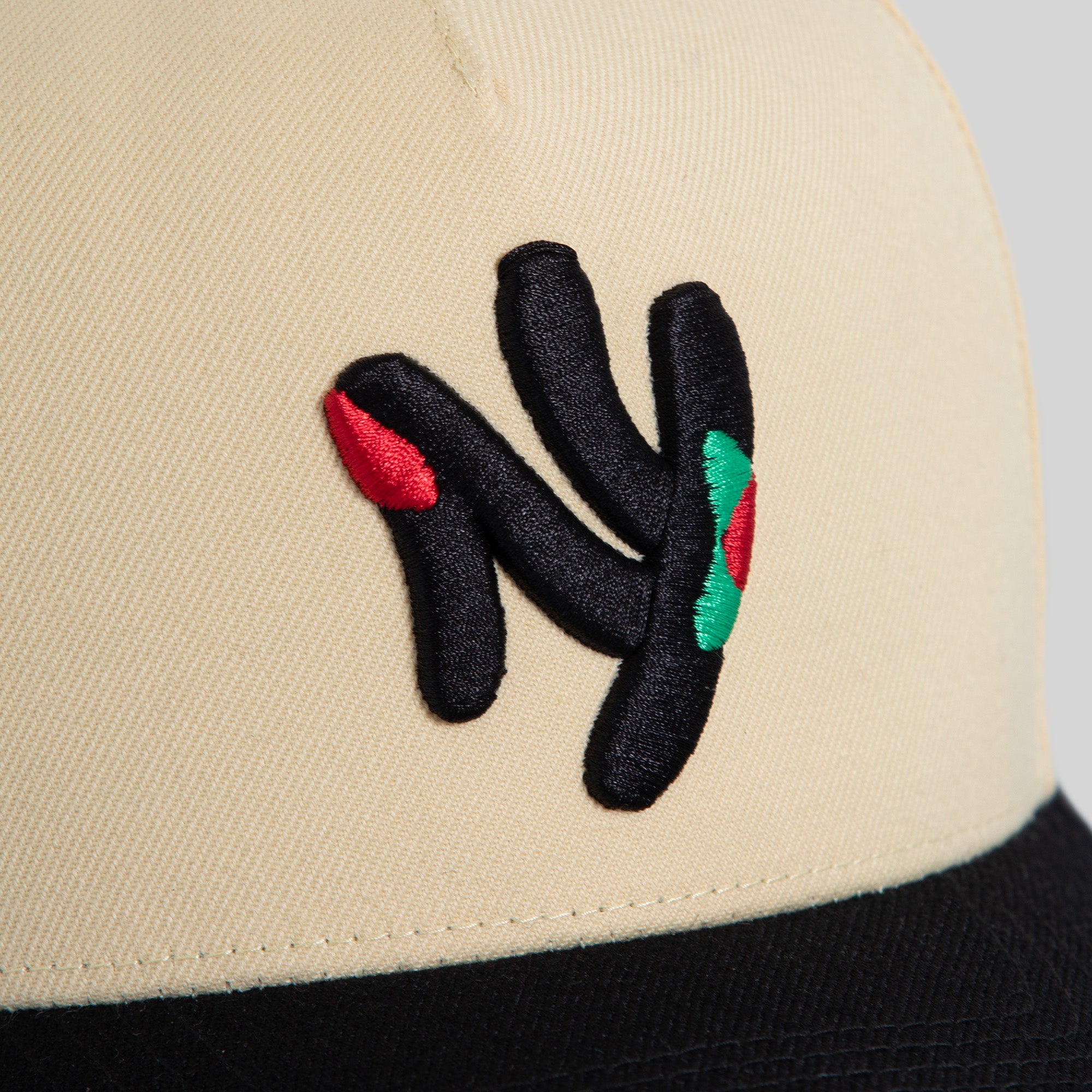 FIELD GRADE X KURVE STUDIO NY IS HEALING SAND BLACK WOOL TRUCKER