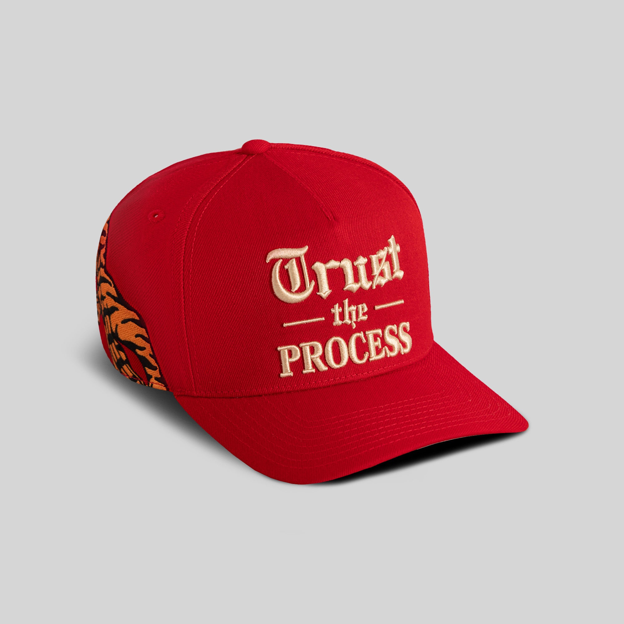 TRUST THE PROCESS YIN YANG WOOL TRUCKER