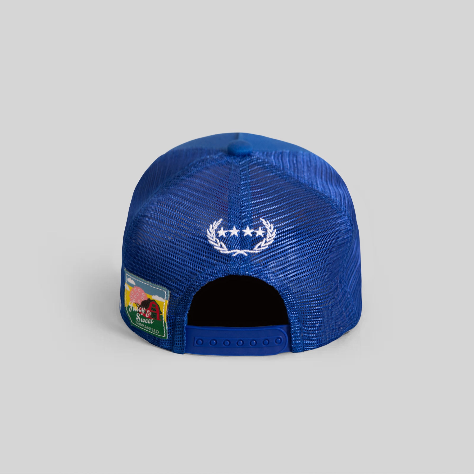 CHERRY BOMB ROYAL TWILL MESH TRUCKER