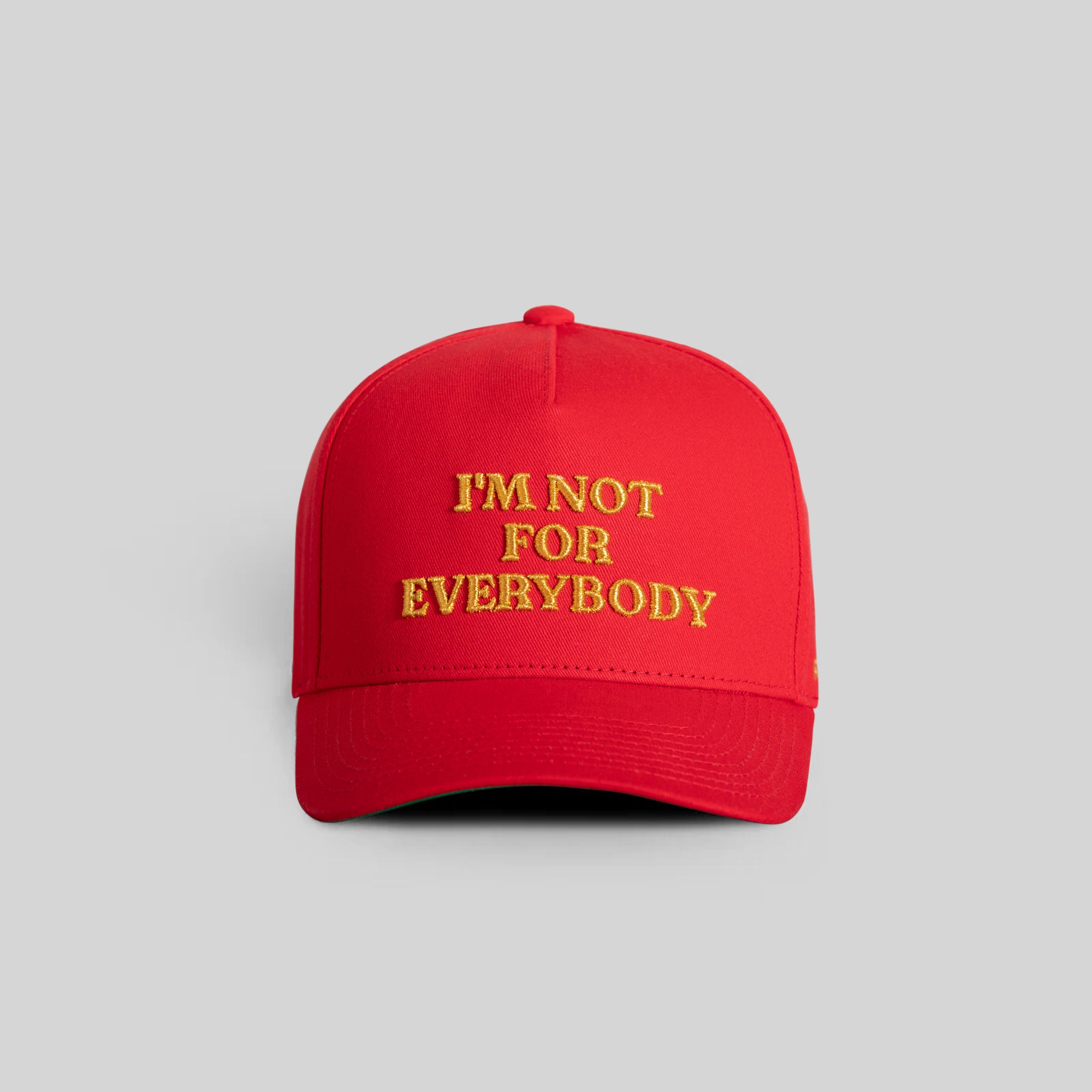 I'M NOT FOR EVERYBODY RED TWILL TRUCKER