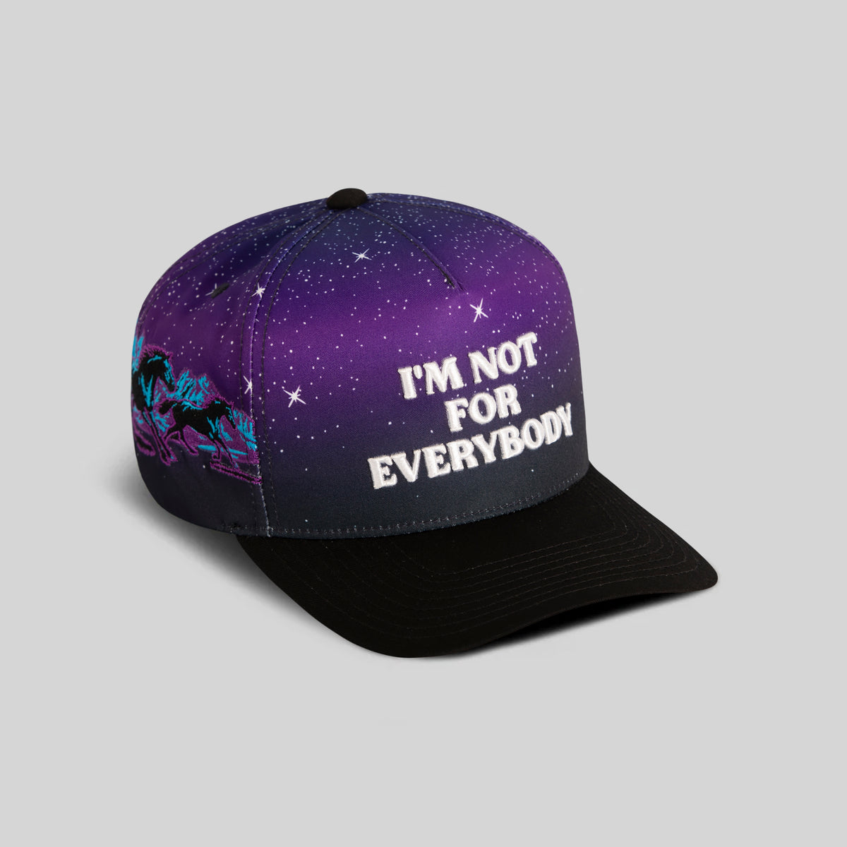 I'M NOT FOR EVERYBODY COSMIC VALLEY TWILL TRUCKER