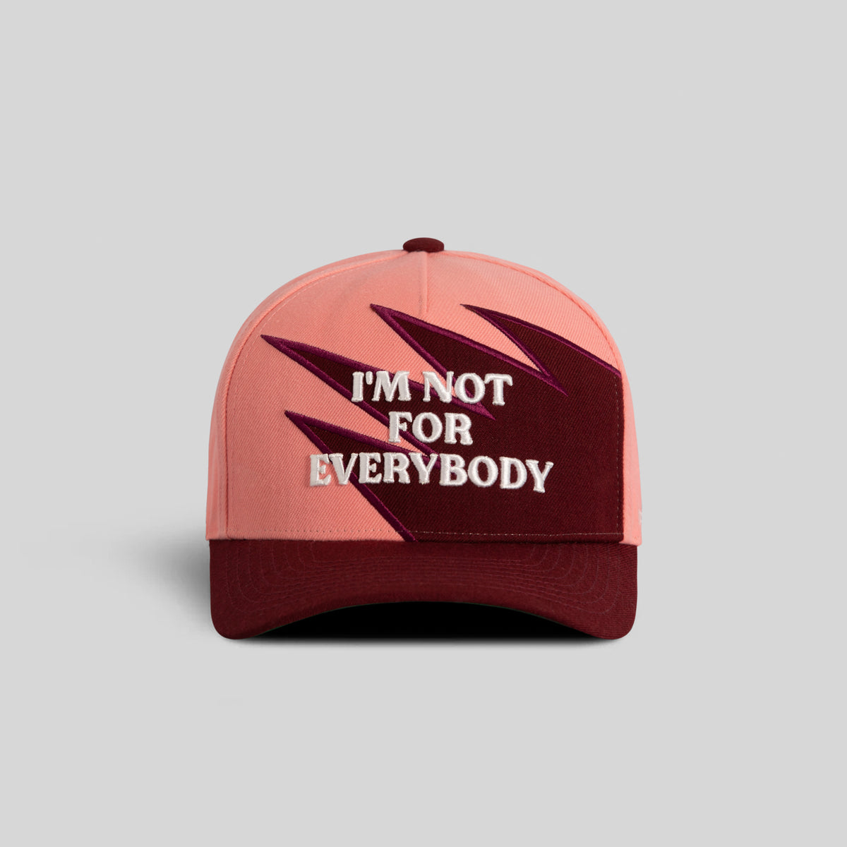 I'M NOT FOR EVERYBODY PEAKS WOOL TRUCKER