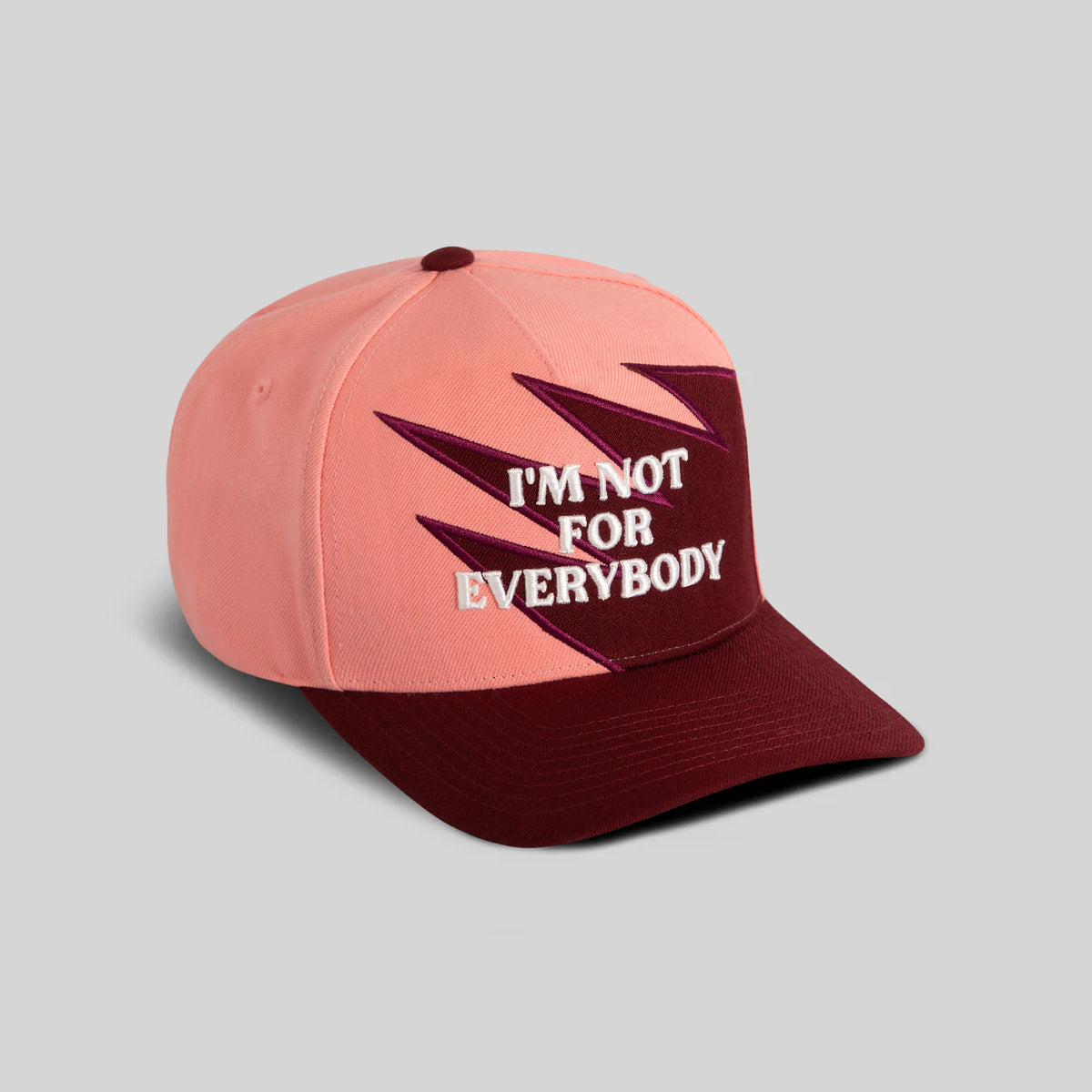 I'M NOT FOR EVERYBODY PEAKS WOOL TRUCKER