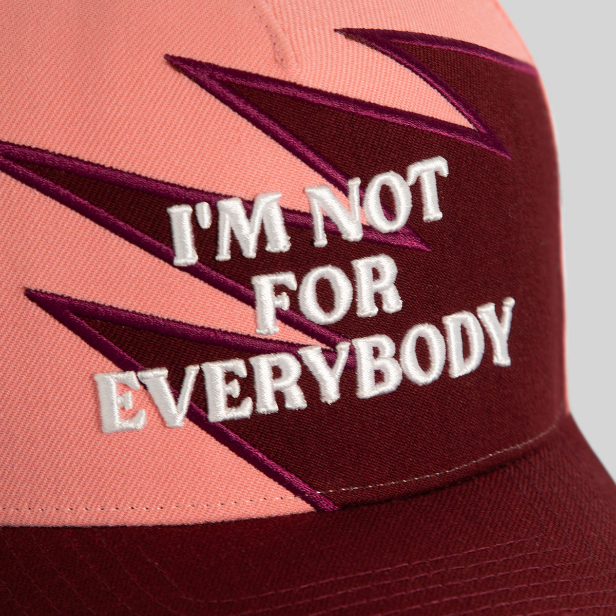 I'M NOT FOR EVERYBODY PEAKS WOOL TRUCKER