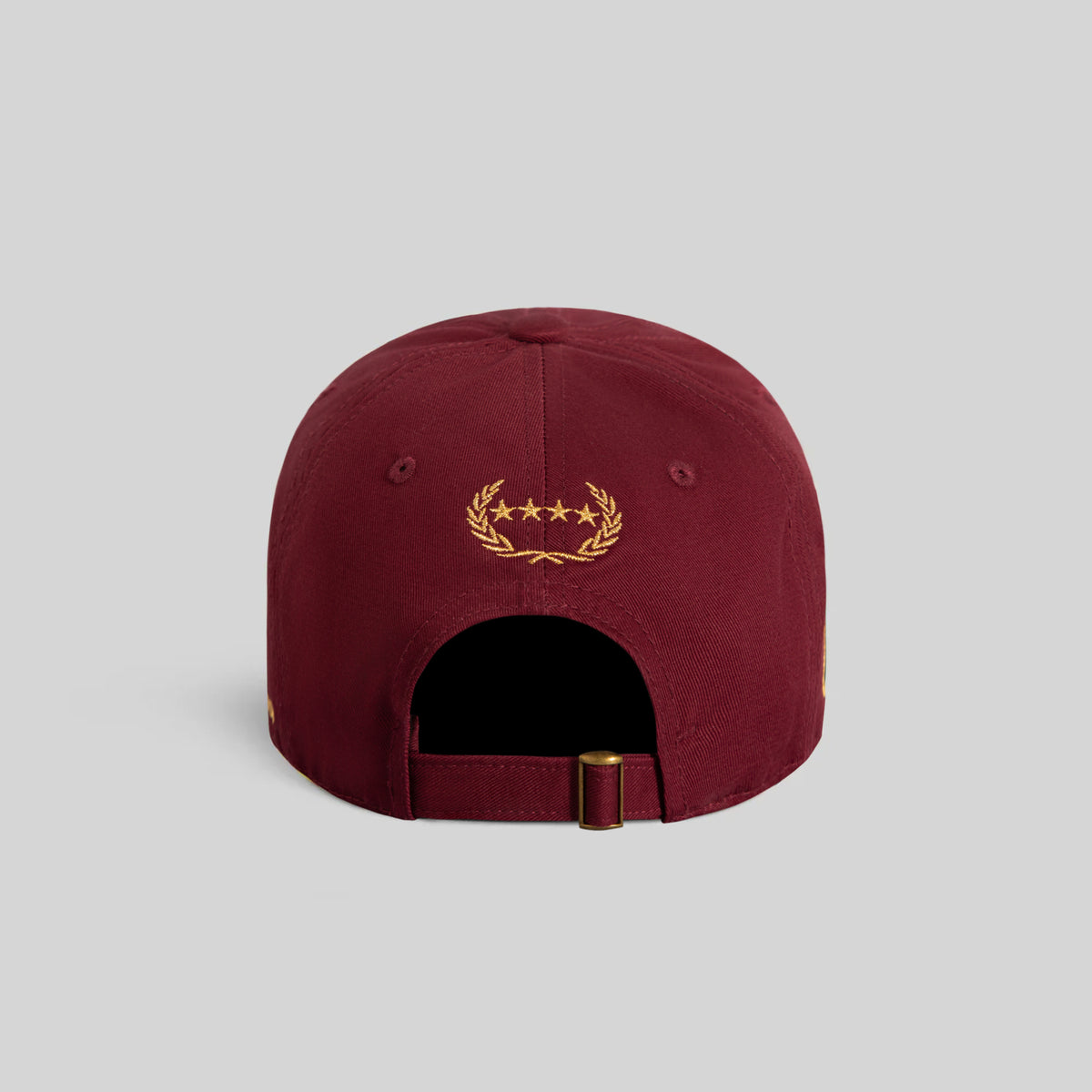 SKYLAB NASA 25th ANNIVERSARY MAROON DISTRESSED