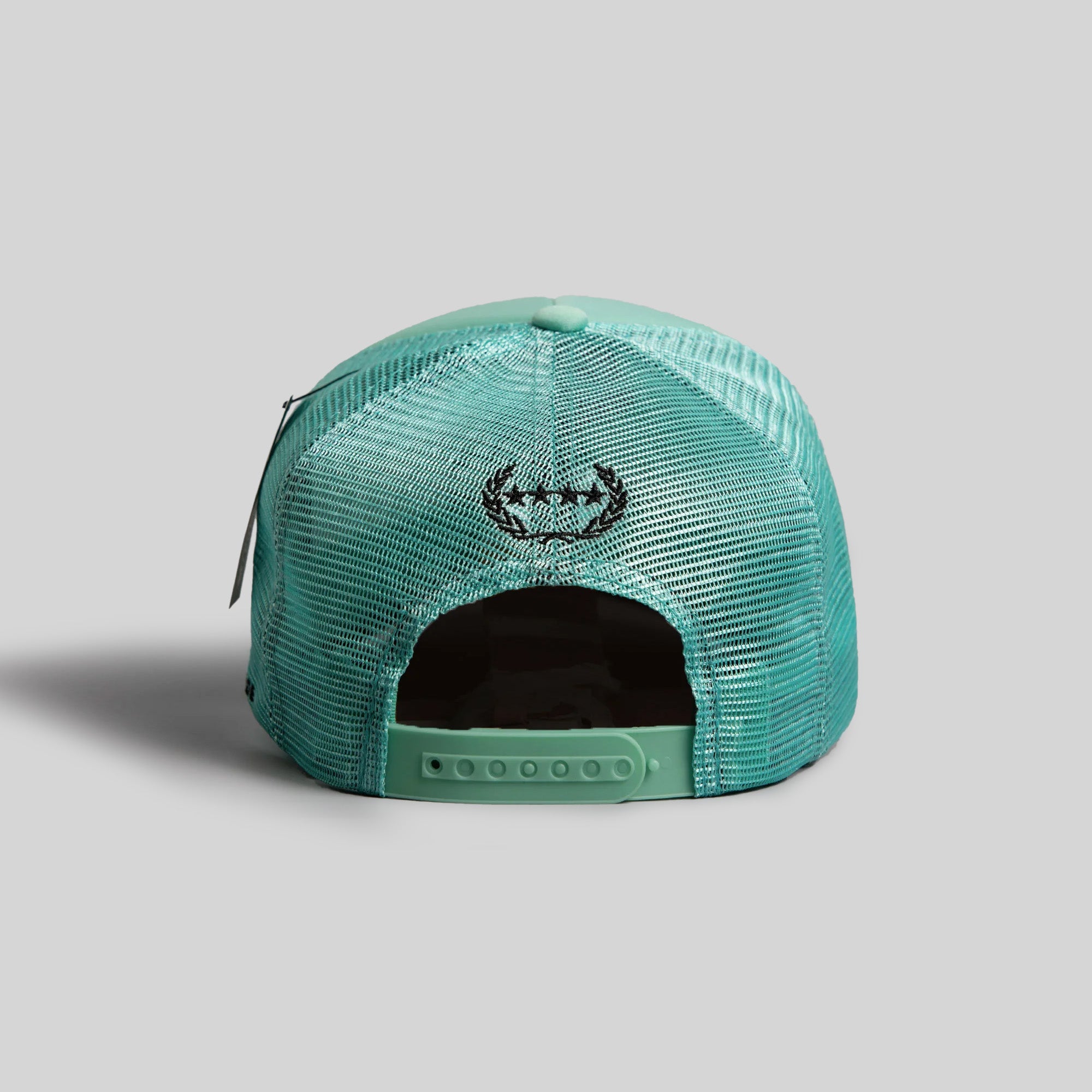 HAVE A NICE DAY MINT TRUCKER HAT
