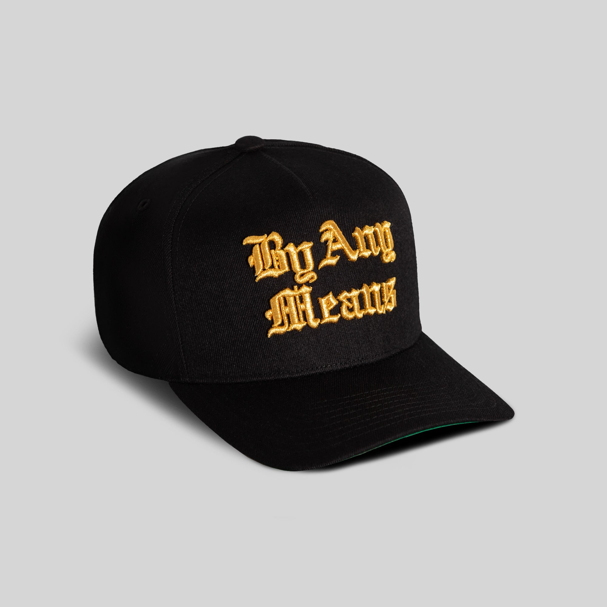 BY ANY MEANS CHAMPIONSHIP WOOL TRUCKER