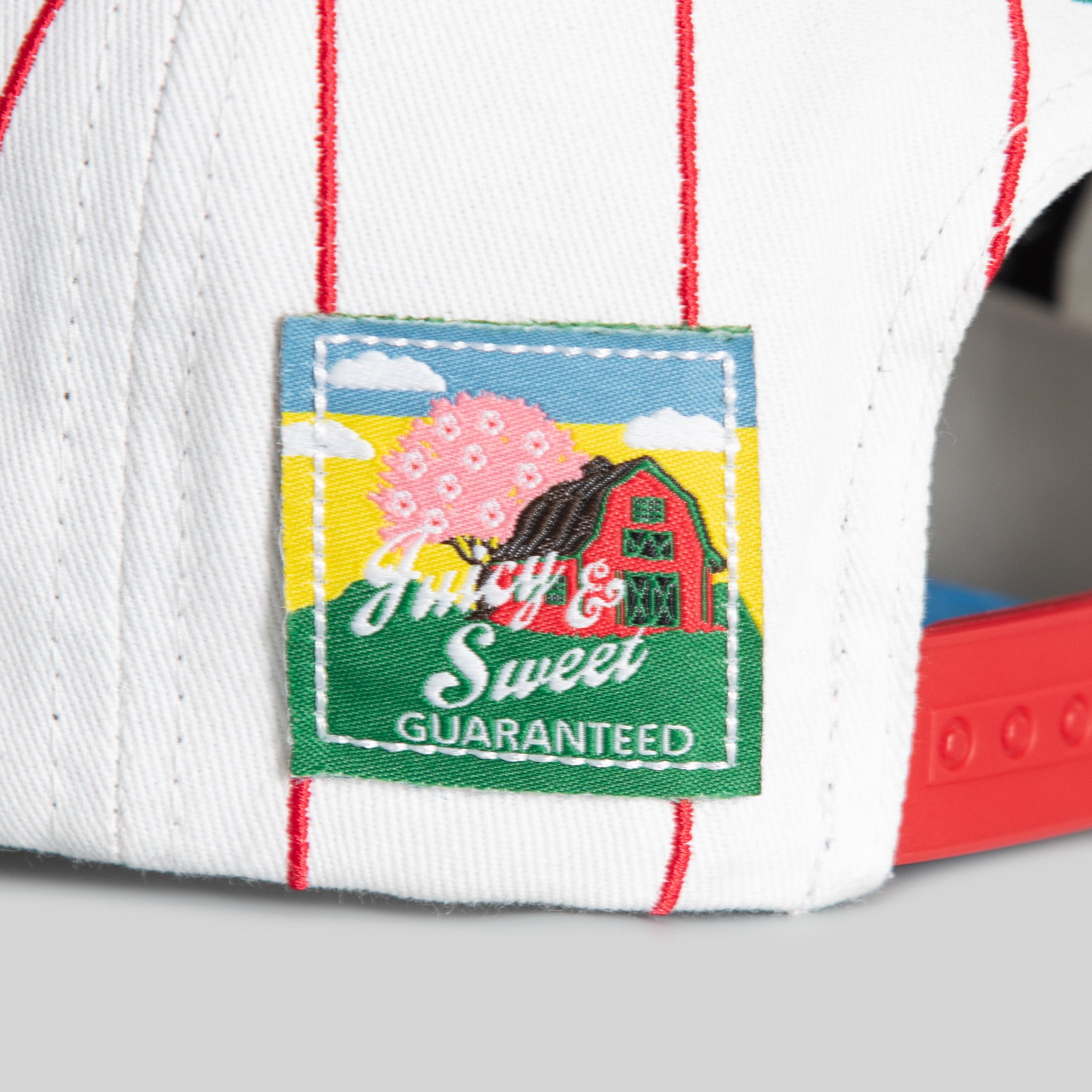 CHERRY BOMB PINSTRIPE TWILL TRUCKER