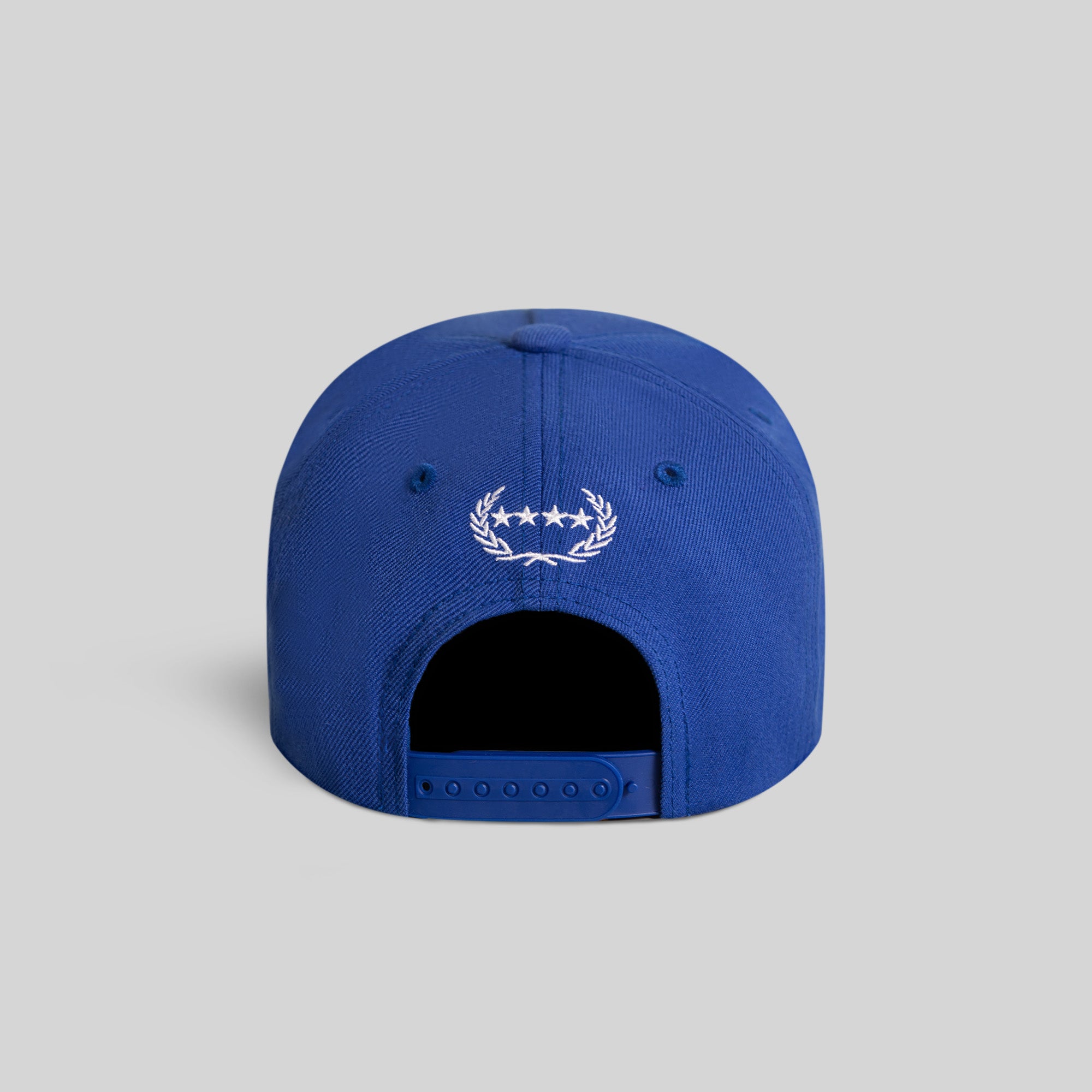 NO PHOTOS PLEASE GAME ROYAL TRUCKER