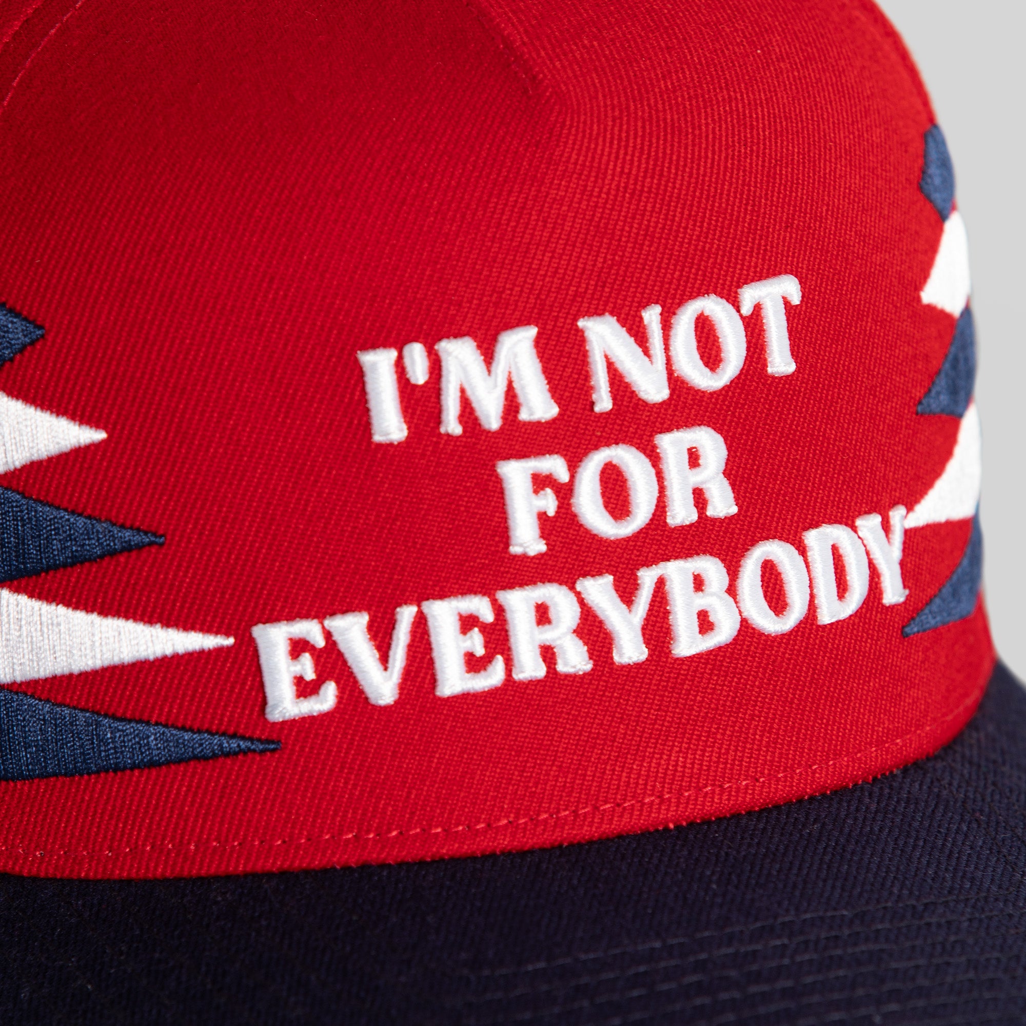 I'M NOT FOR EVERYBODY DIAMOND STACK WOOL TRUCKER