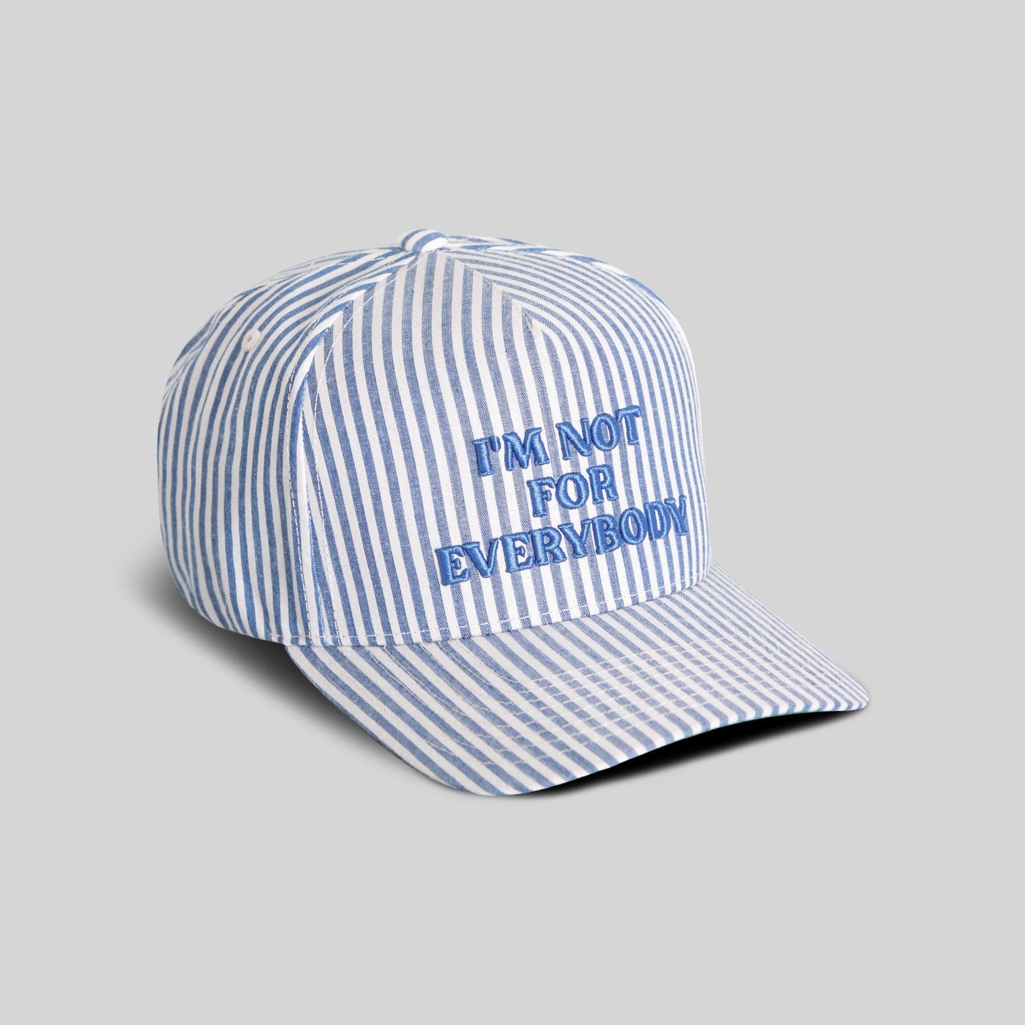 I'M NOT FOR EVERYBODY SEERSUCKER TRUCKER