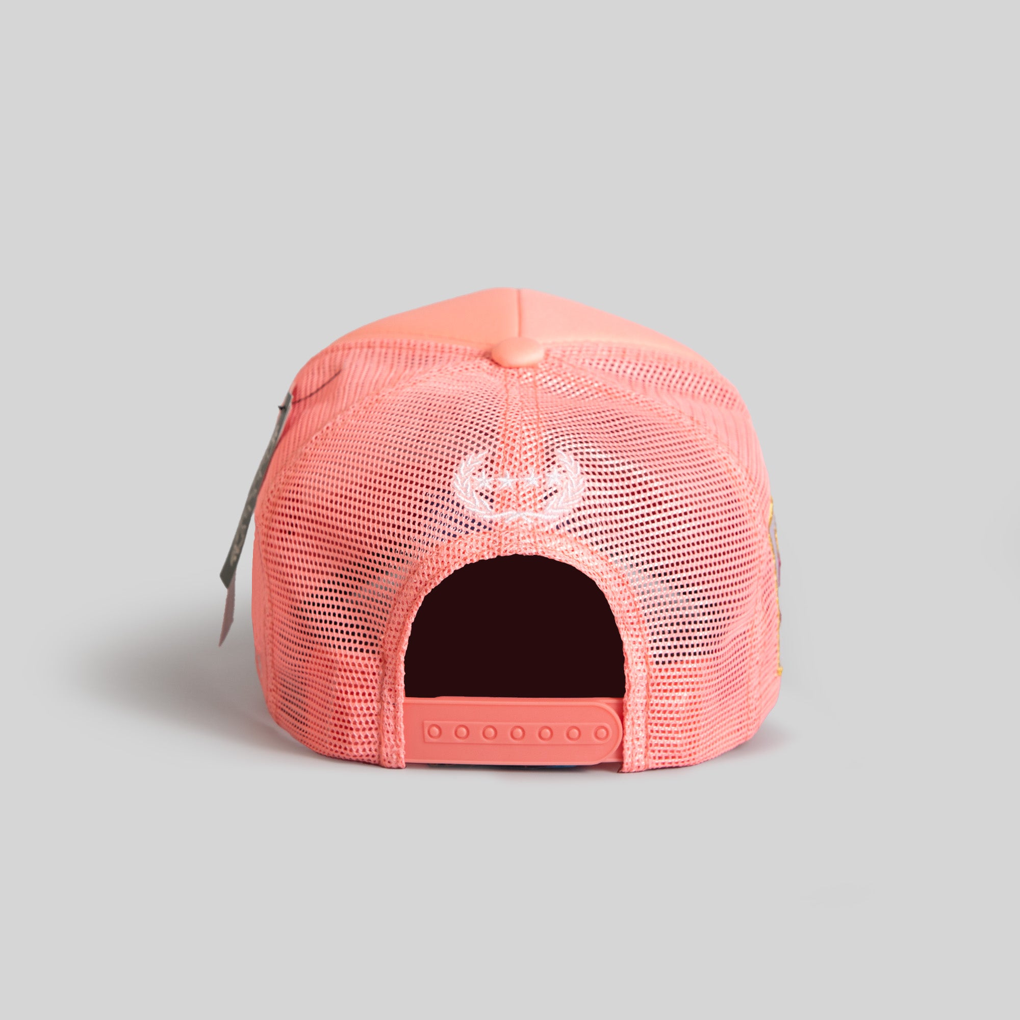 SKYLAB NASA 25TH ANNIVERSARY PINK TRUCKER HAT