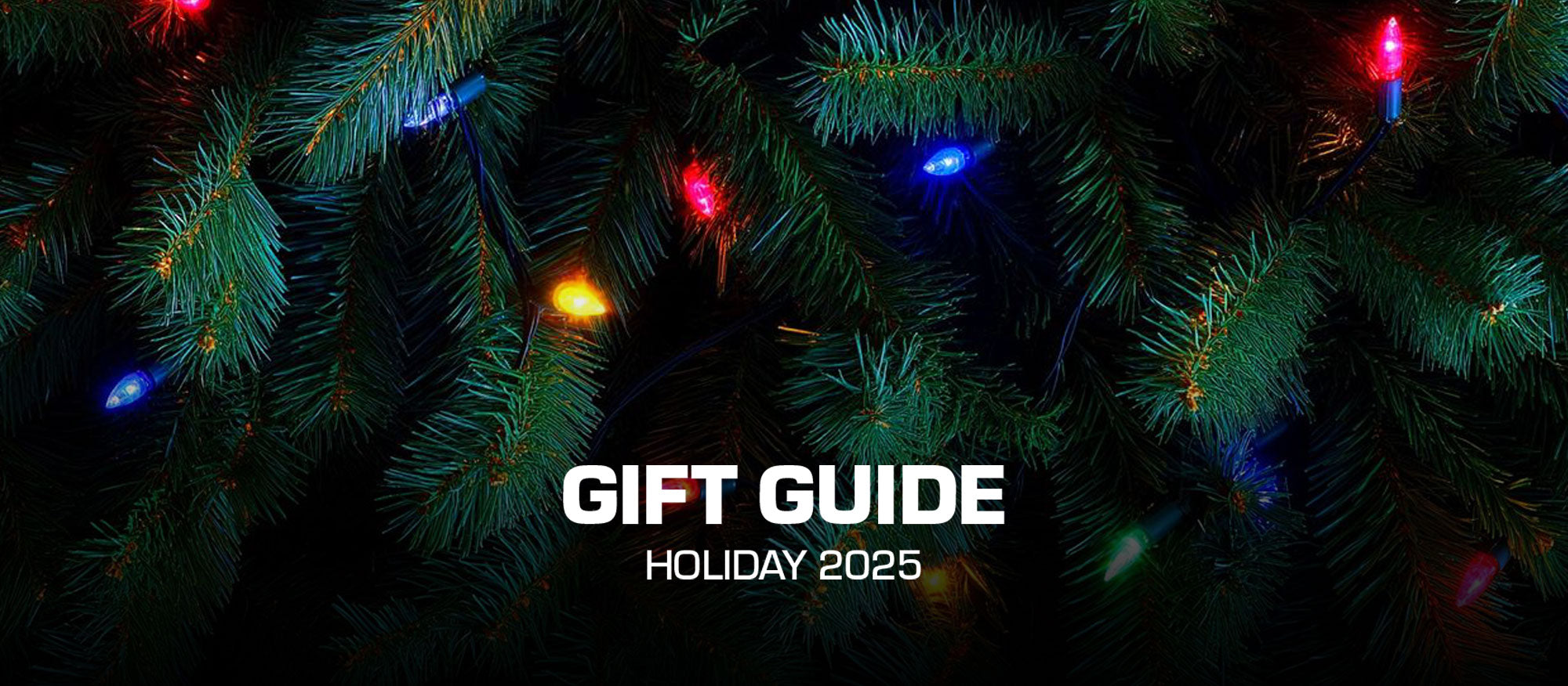 Holiday Gift Guide