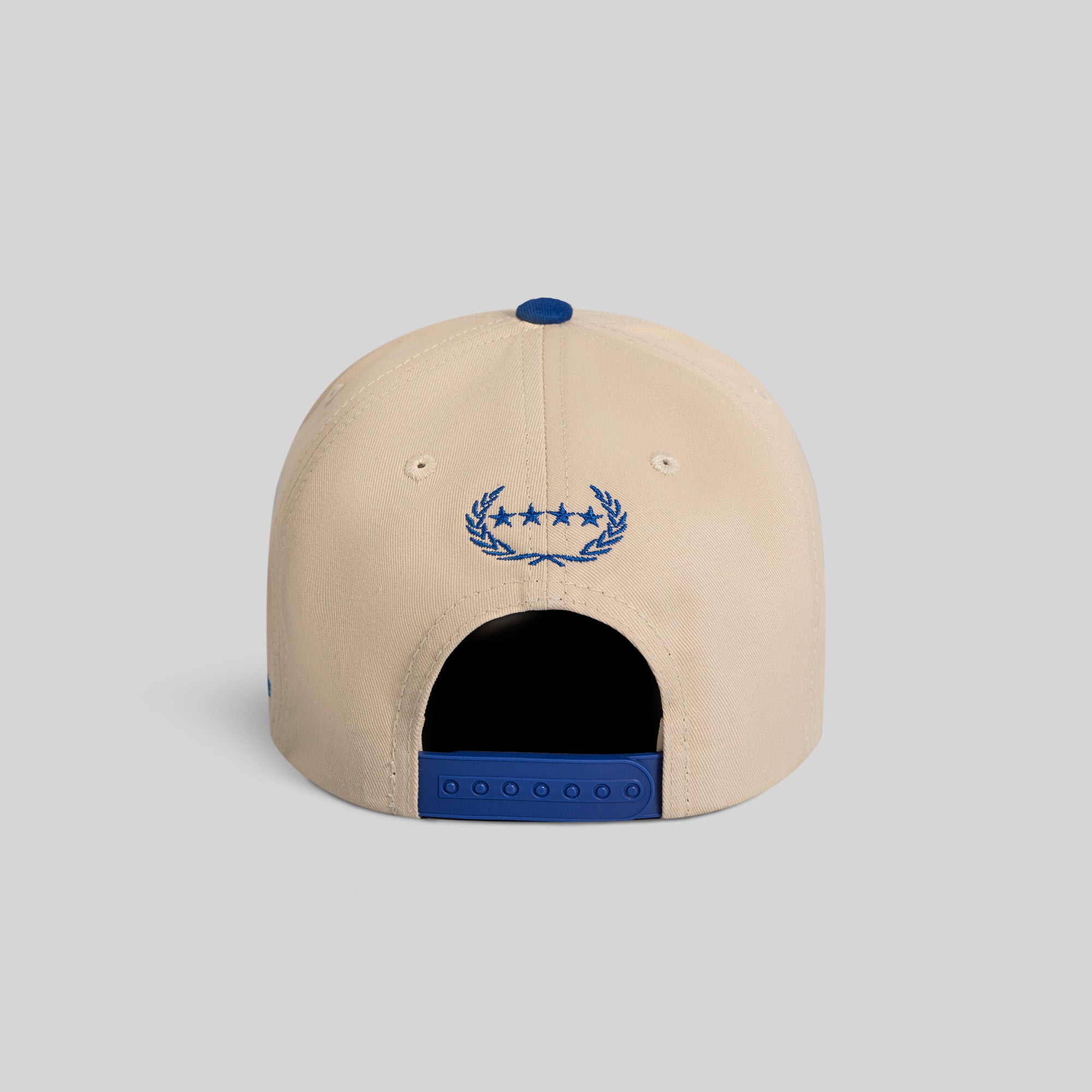 TRUST THE PROCESS SAND ROYAL TWILL TRUCKER
