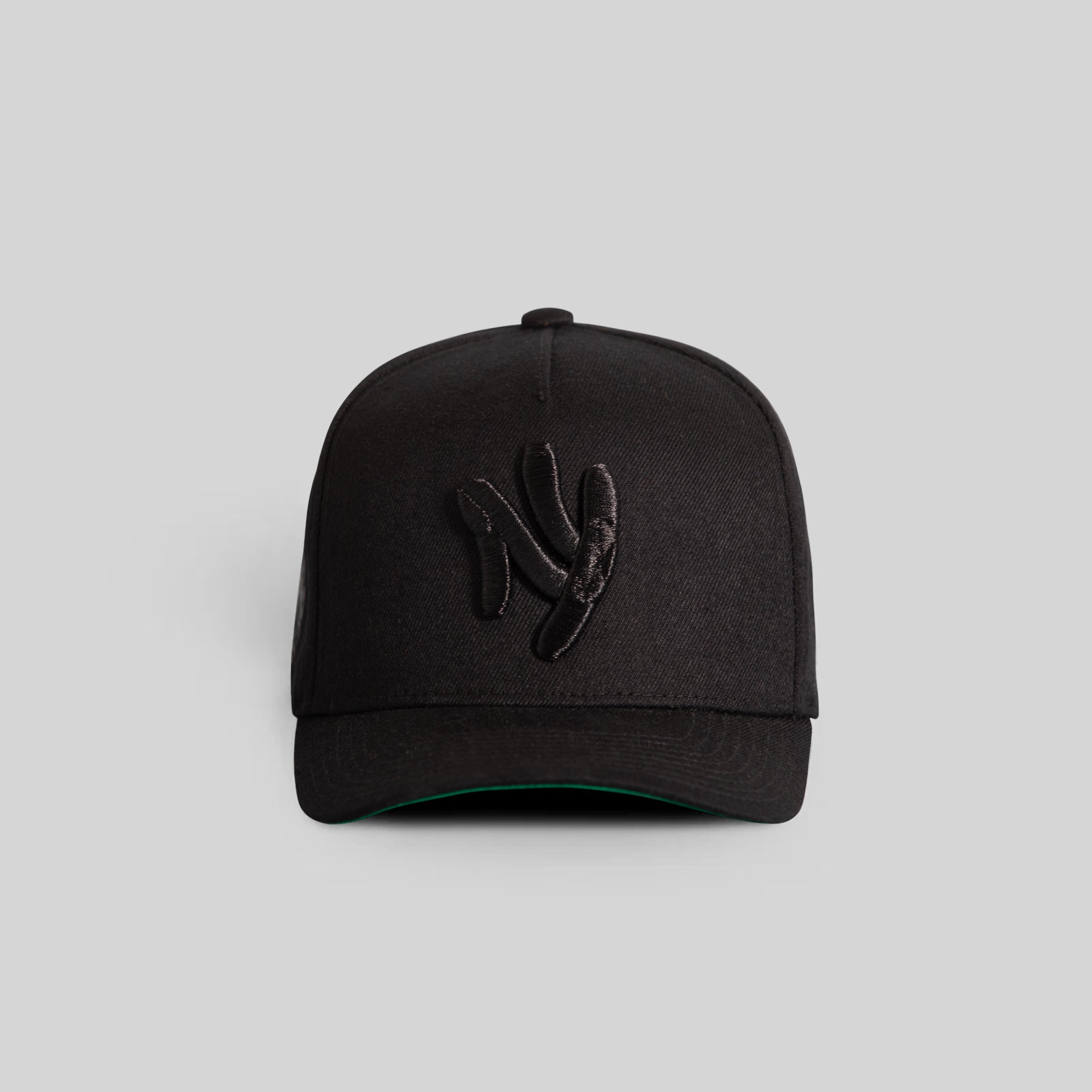 FIELD GRADE X KURVE STUDIO NY IS HEALING BLACK TRUCKER