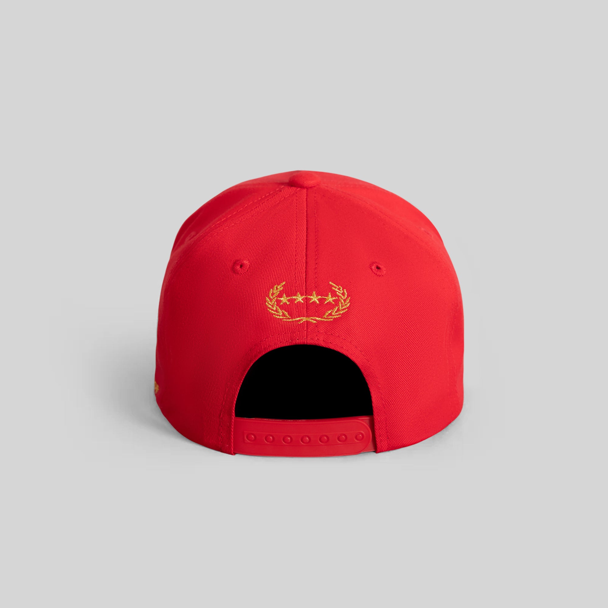I'M NOT FOR EVERYBODY RED TWILL TRUCKER