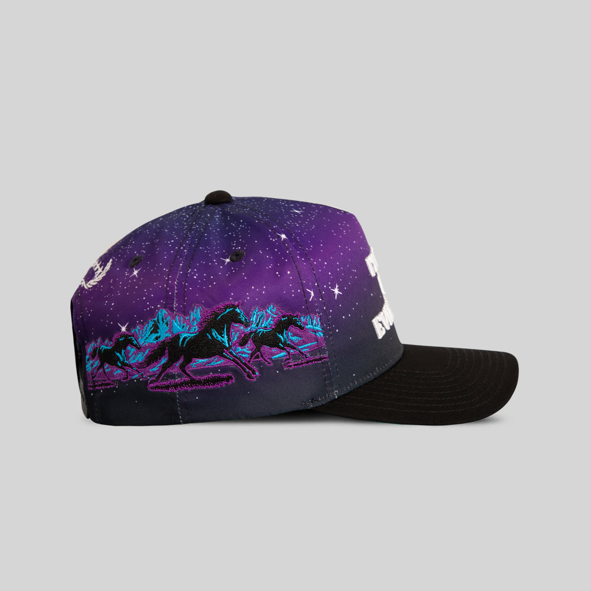 I'M NOT FOR EVERYBODY COSMIC VALLEY TWILL TRUCKER