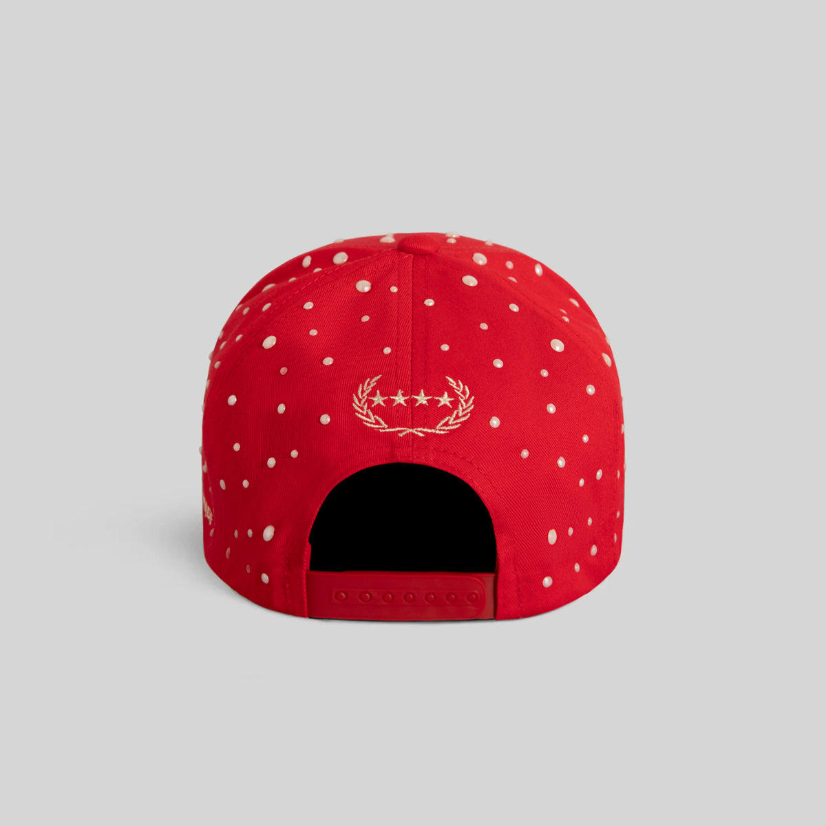 NOT FOR EVERYBODY PEARL RED TWILL TRUCKER
