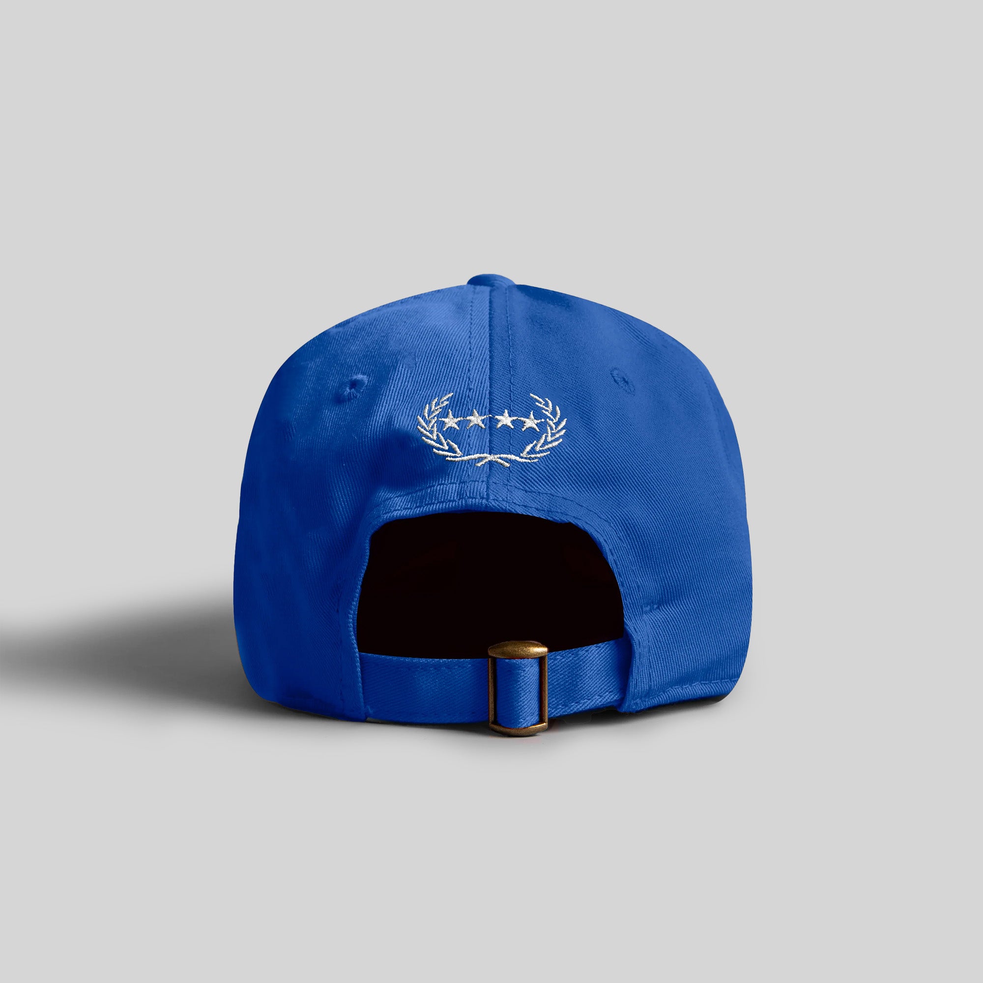 HAVE A NICE DAY ROYAL BLUE RELAXED FIT DISTRESSED HAT