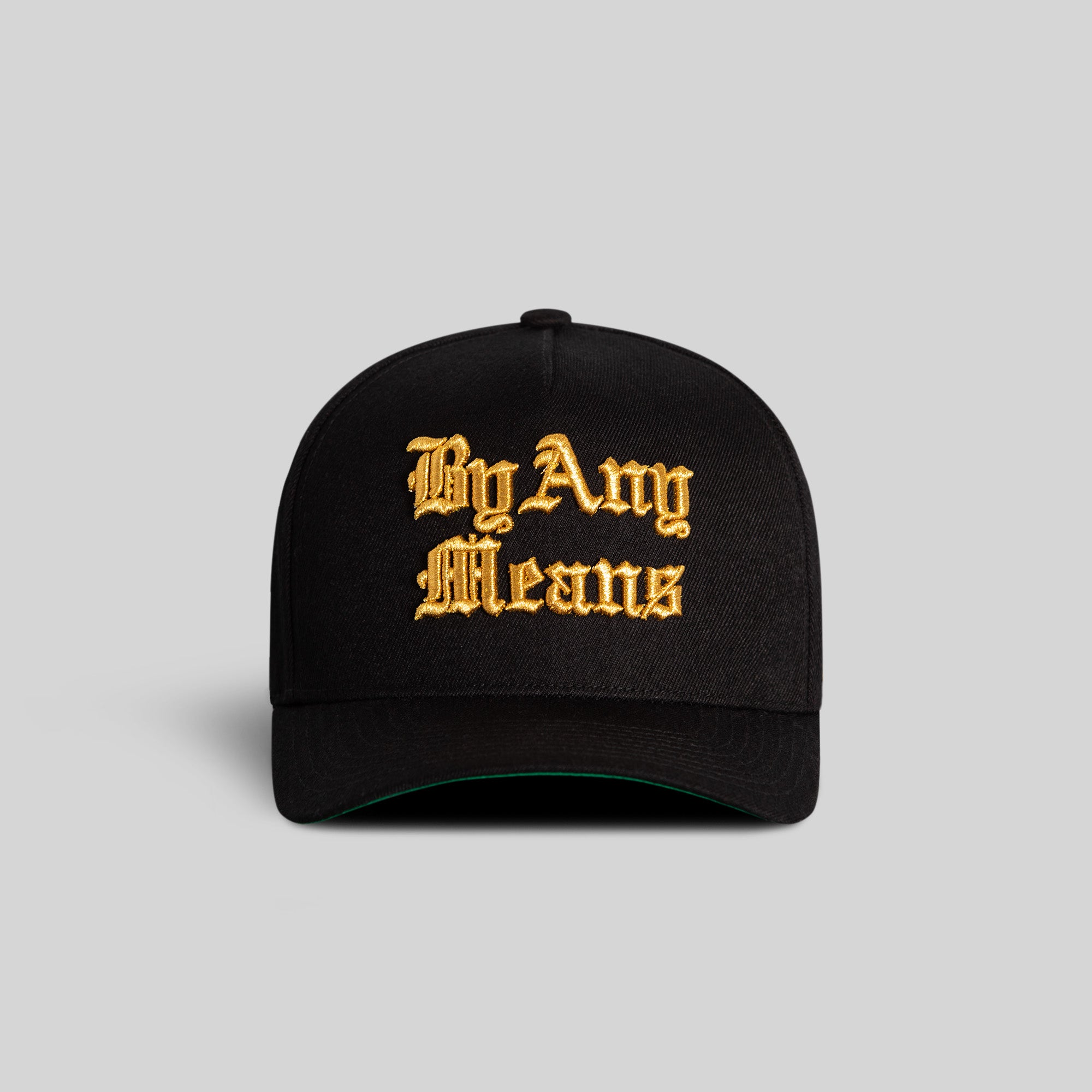 BY ANY MEANS CHAMPIONSHIP WOOL TRUCKER