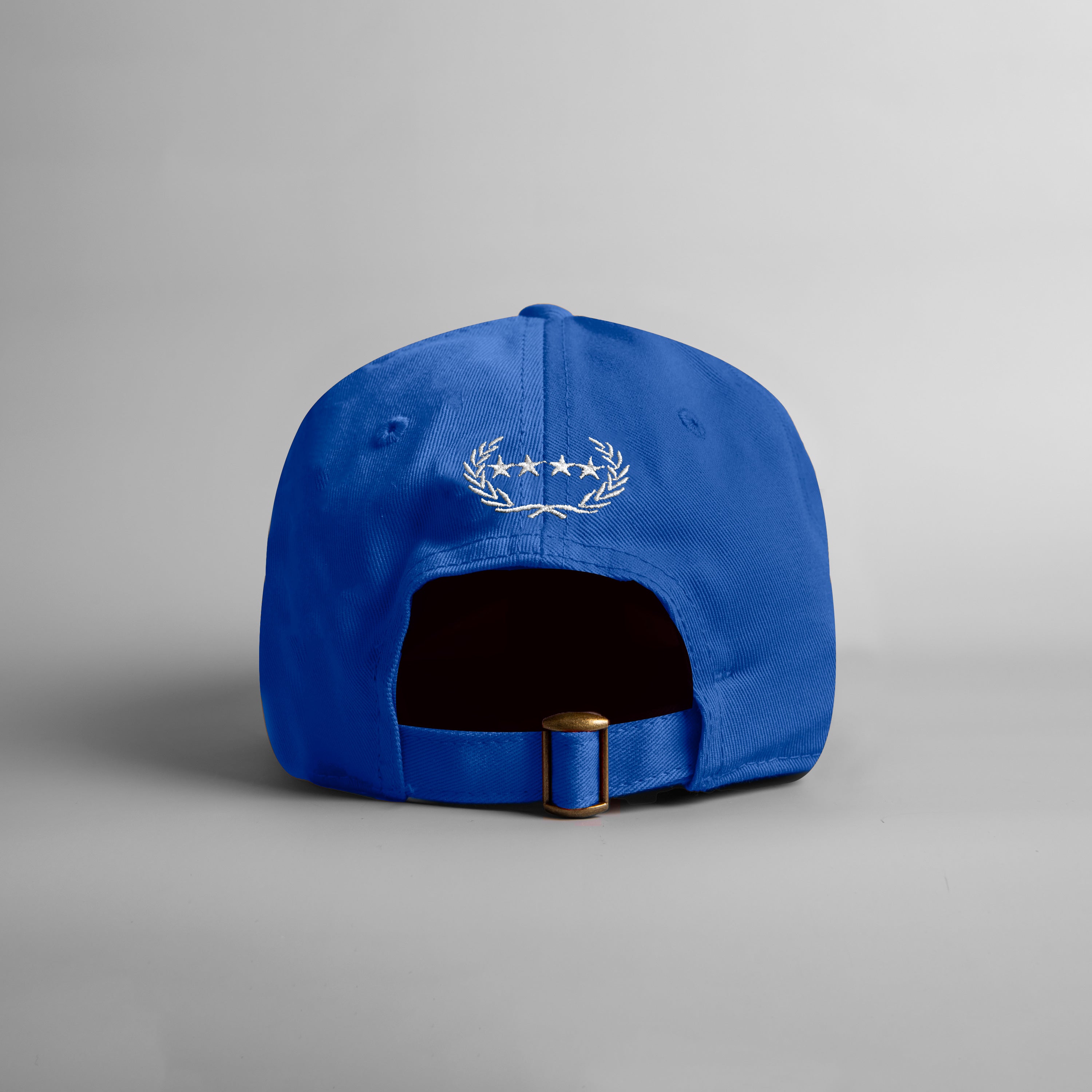 F*CK IT. ROYAL BLUE RELAXED FIT DISTRESSED HAT